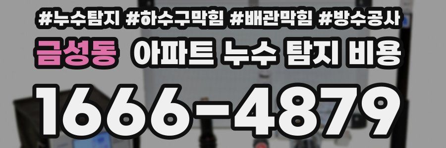 금성동 아파트 누수 탐지 비용