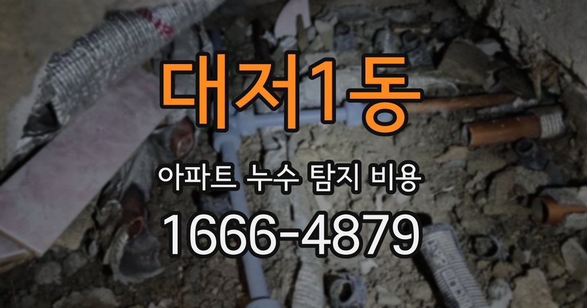 대저1동 아파트 누수 탐지 비용