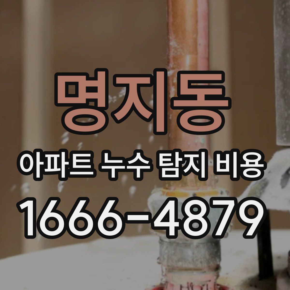 명지동 아파트 누수 탐지 비용