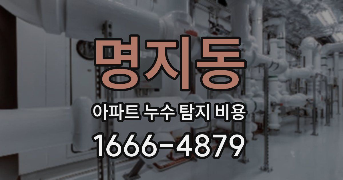 명지동 아파트 누수 탐지 비용