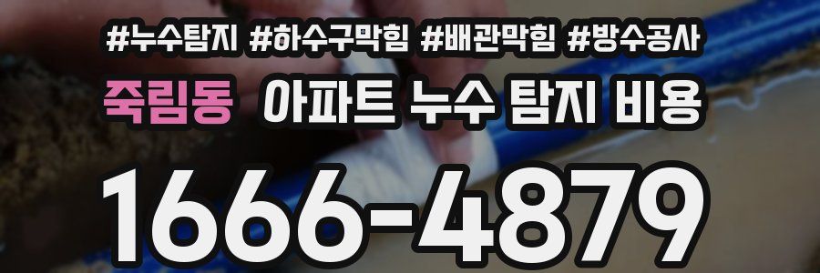 죽림동 아파트 누수 탐지 비용