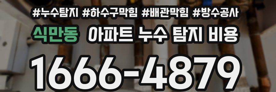 식만동 아파트 누수 탐지 비용