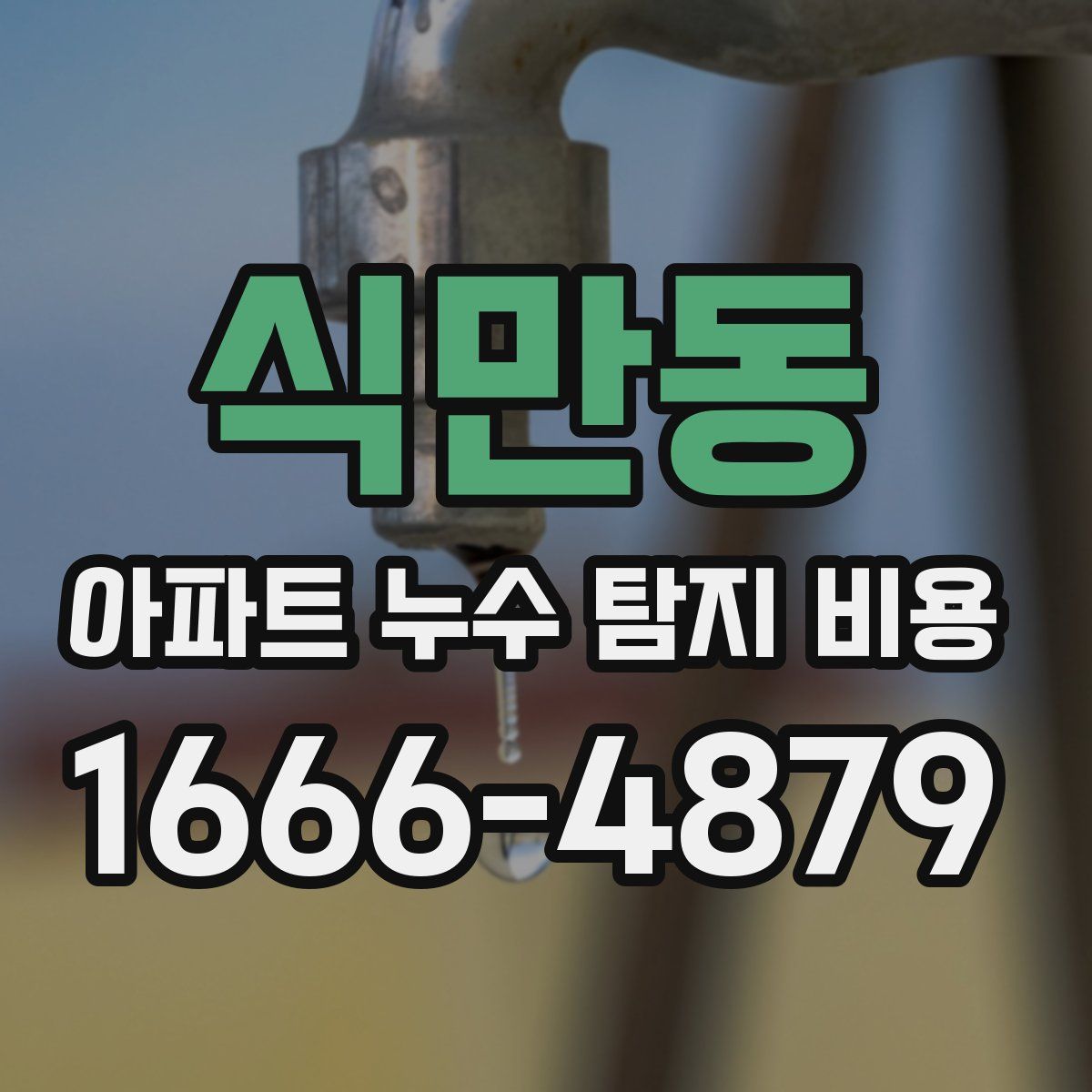 식만동 아파트 누수 탐지 비용