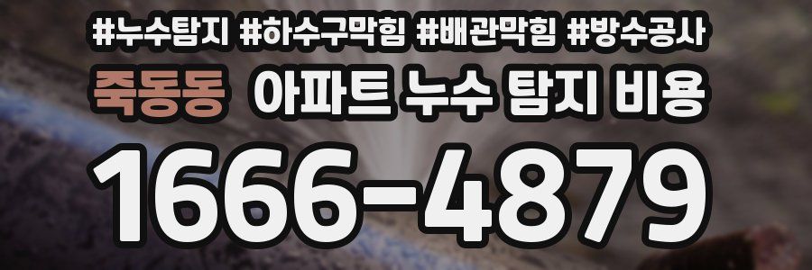 죽동동 아파트 누수 탐지 비용
