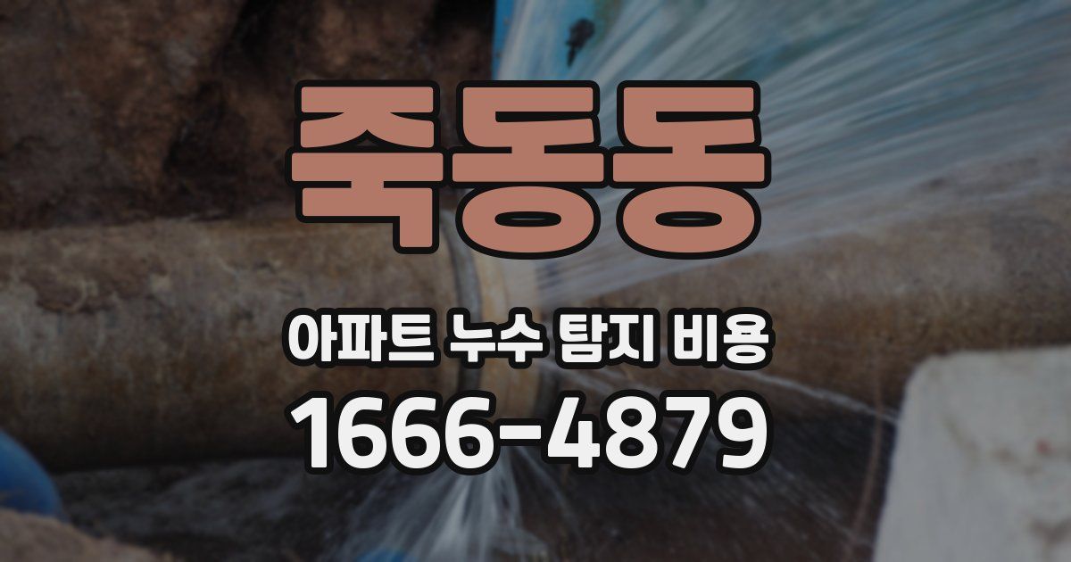 죽동동 아파트 누수 탐지 비용