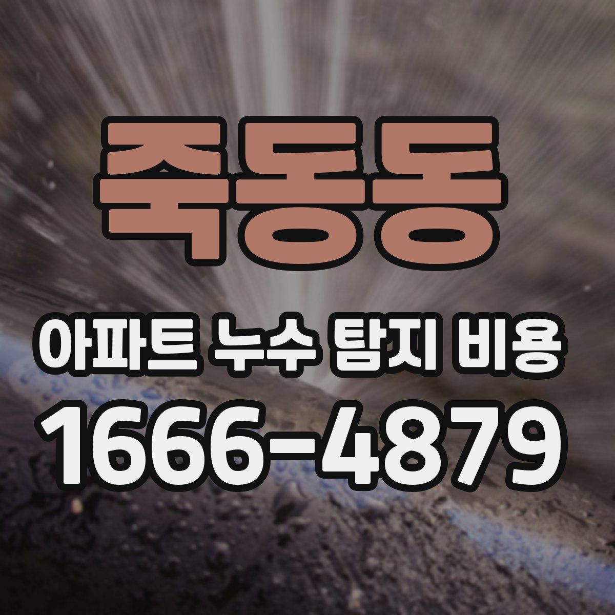죽동동 아파트 누수 탐지 비용