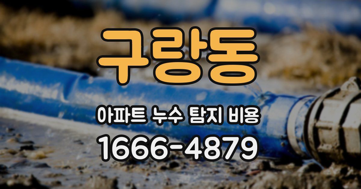 구랑동 아파트 누수 탐지 비용