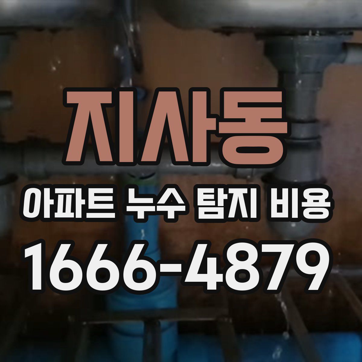 지사동 아파트 누수 탐지 비용