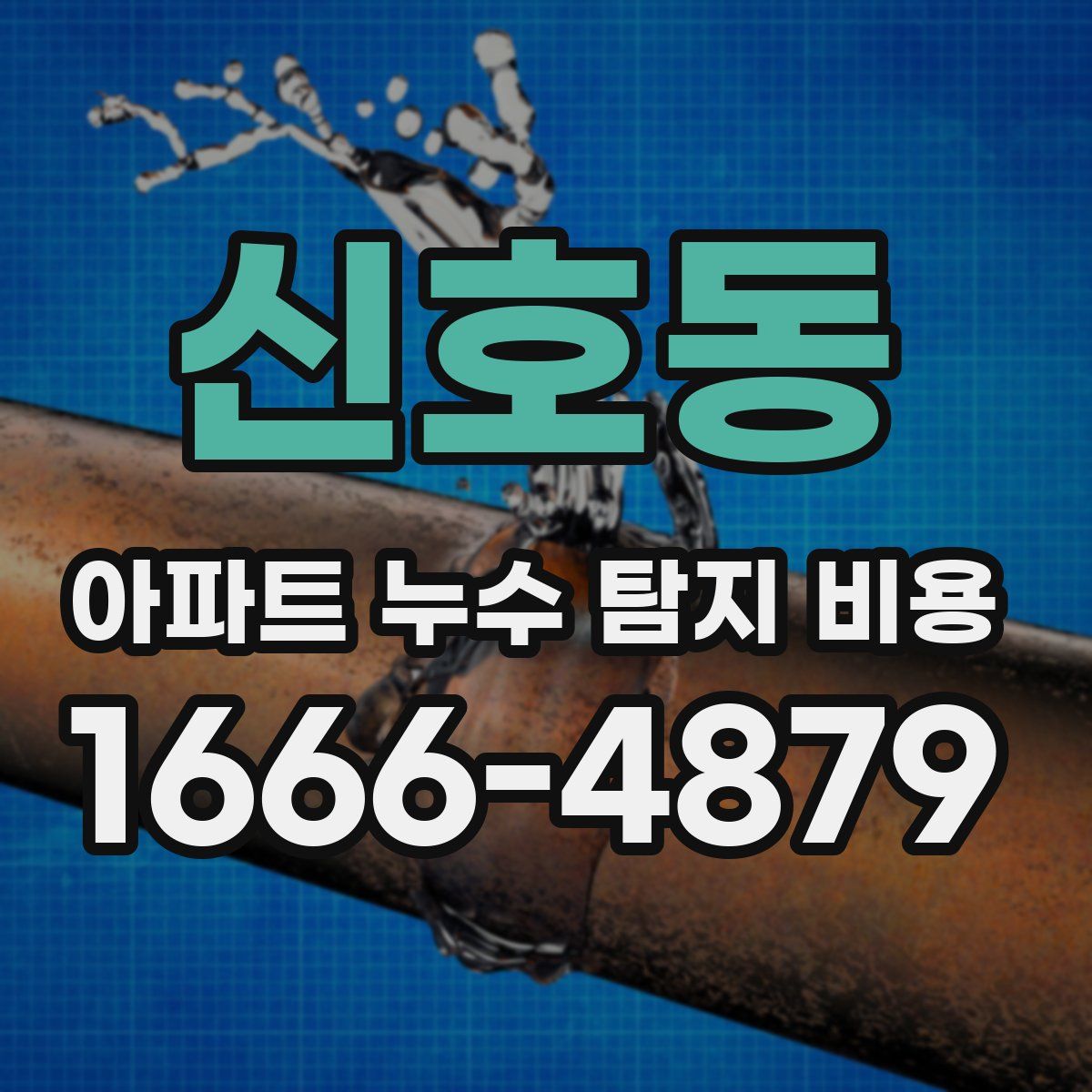 신호동 아파트 누수 탐지 비용