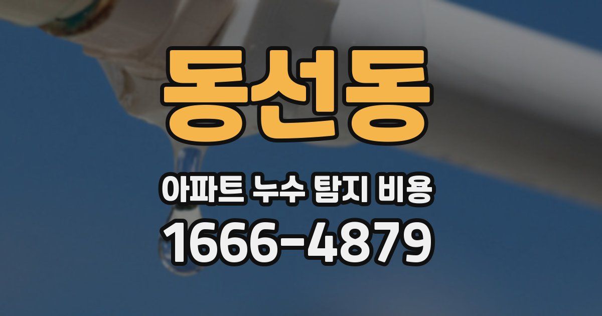 동선동 아파트 누수 탐지 비용