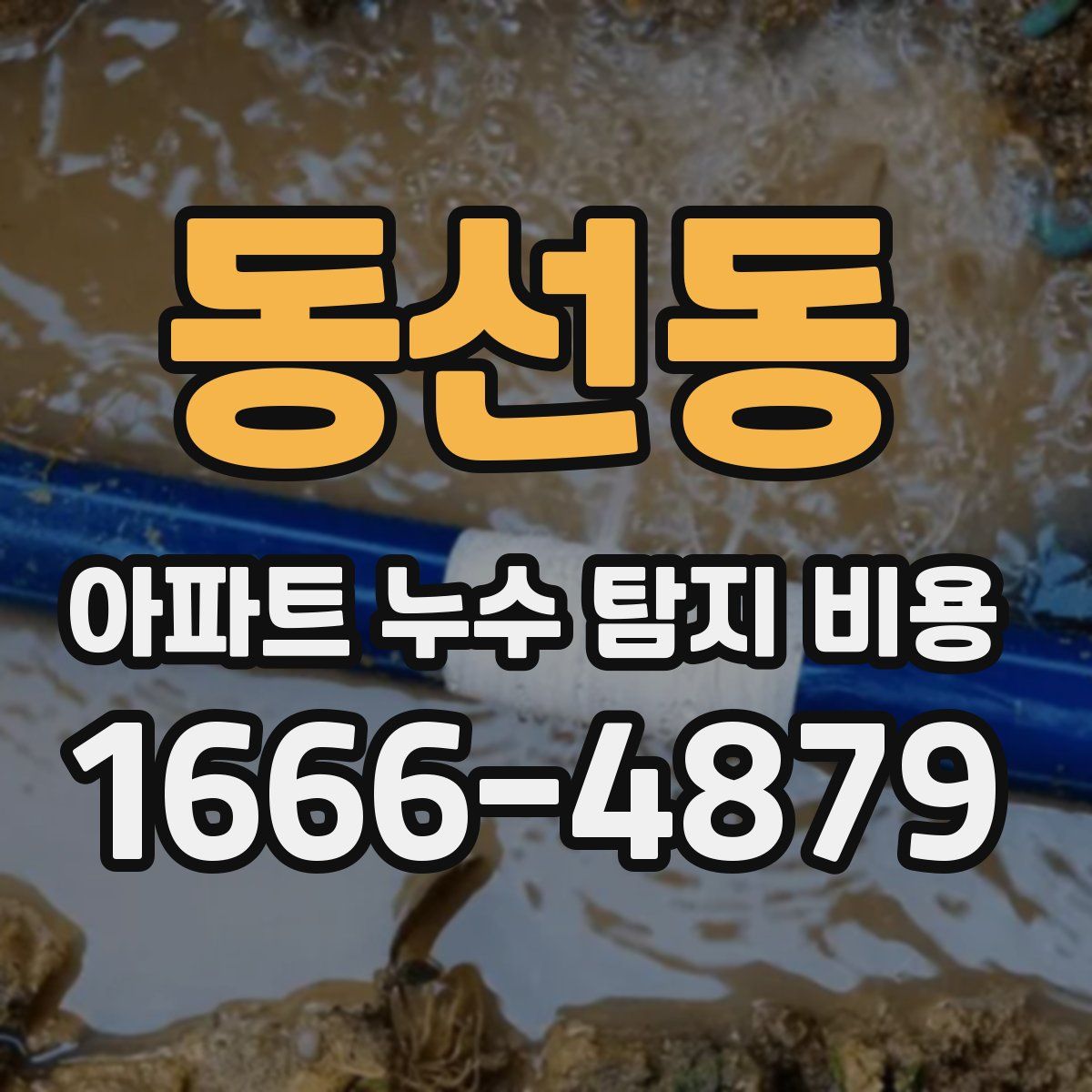 동선동 아파트 누수 탐지 비용