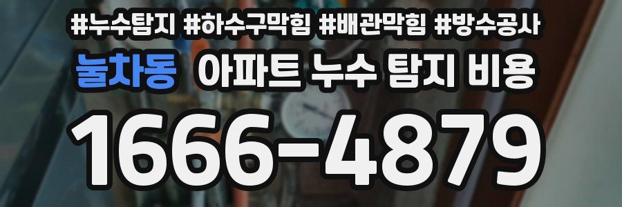 눌차동 아파트 누수 탐지 비용