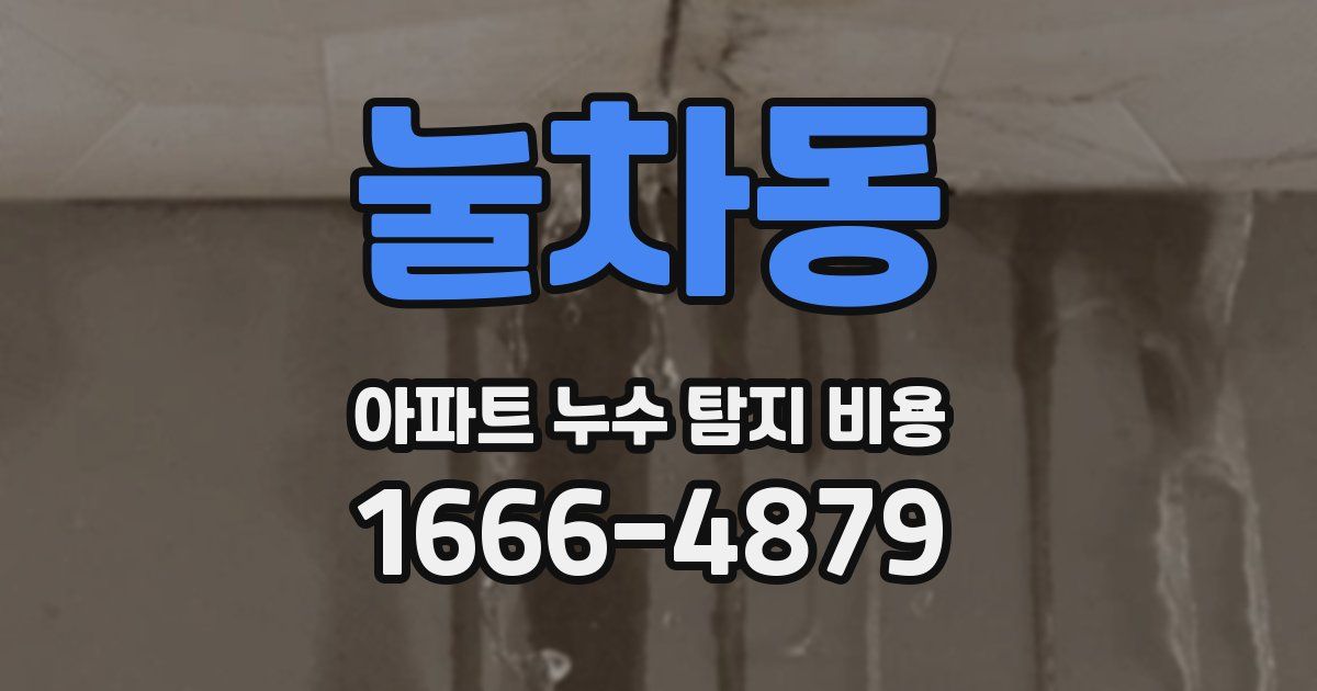 눌차동 아파트 누수 탐지 비용