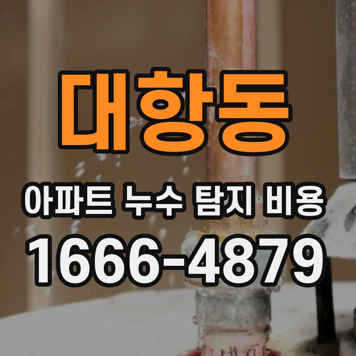 대항동 아파트 누수 탐지 비용