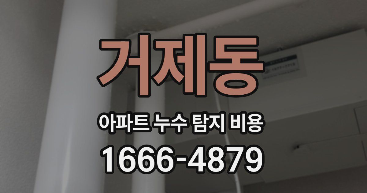 거제동 아파트 누수 탐지 비용