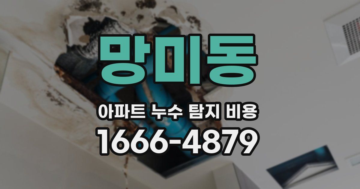 망미동 아파트 누수 탐지 비용