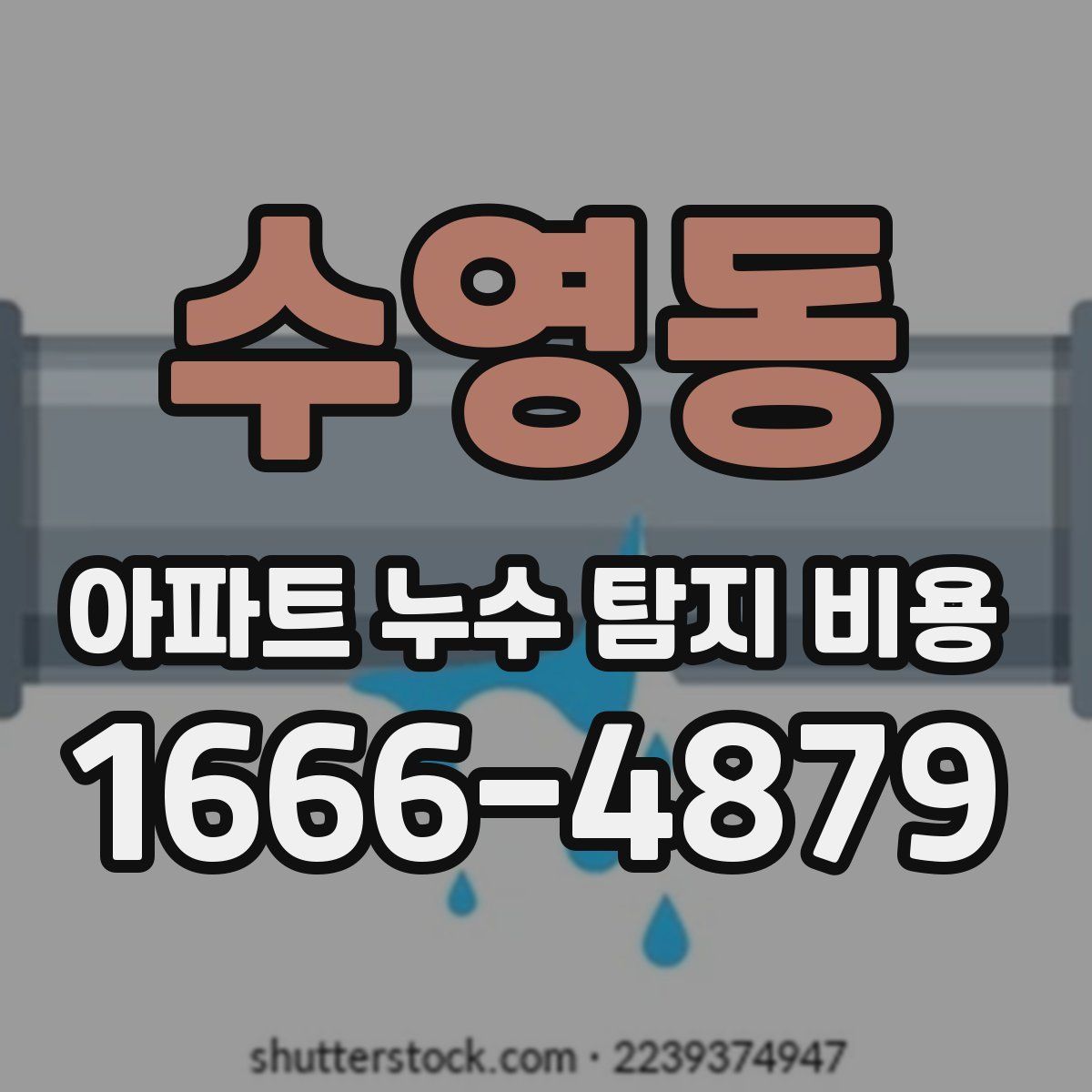 수영동 아파트 누수 탐지 비용