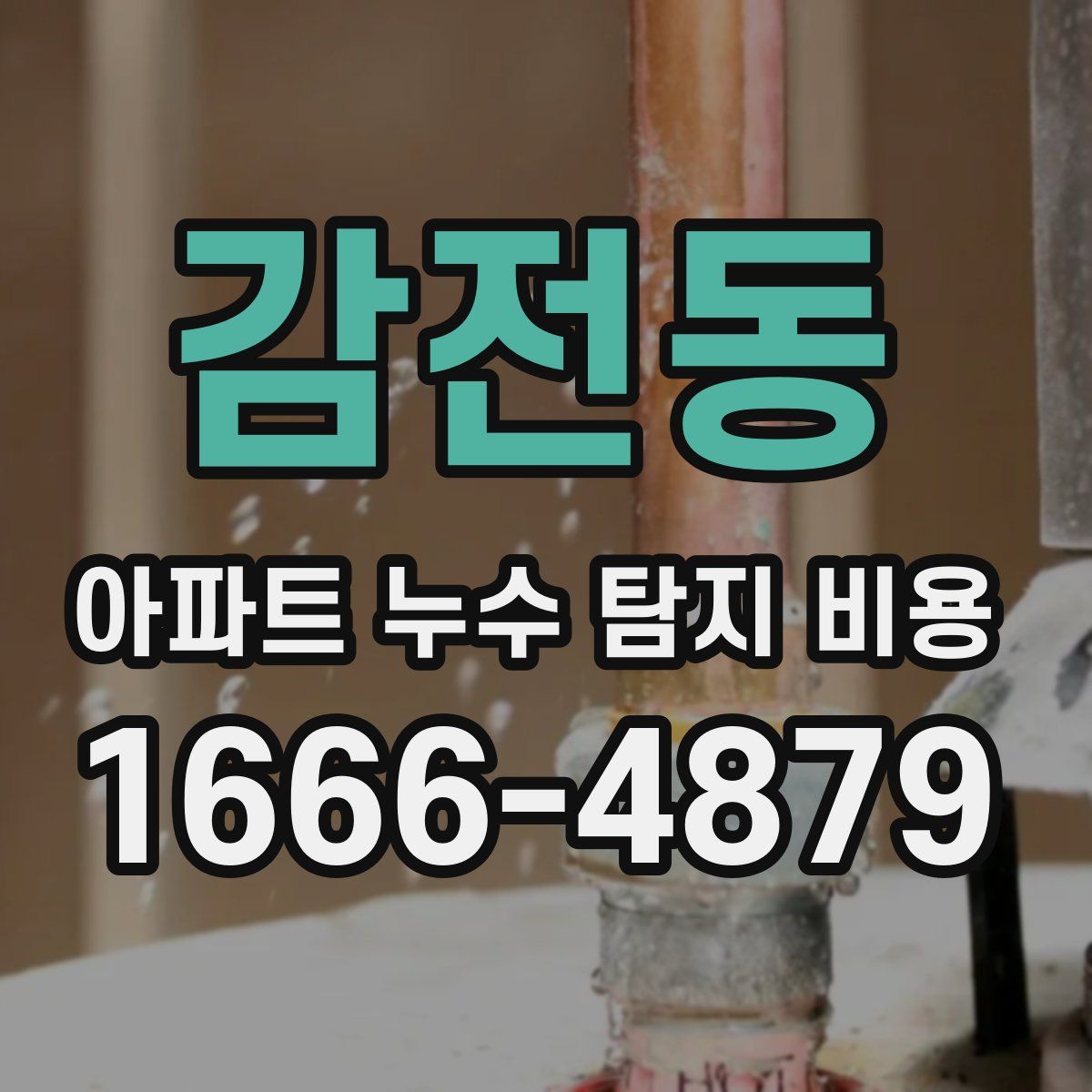 감전동 아파트 누수 탐지 비용