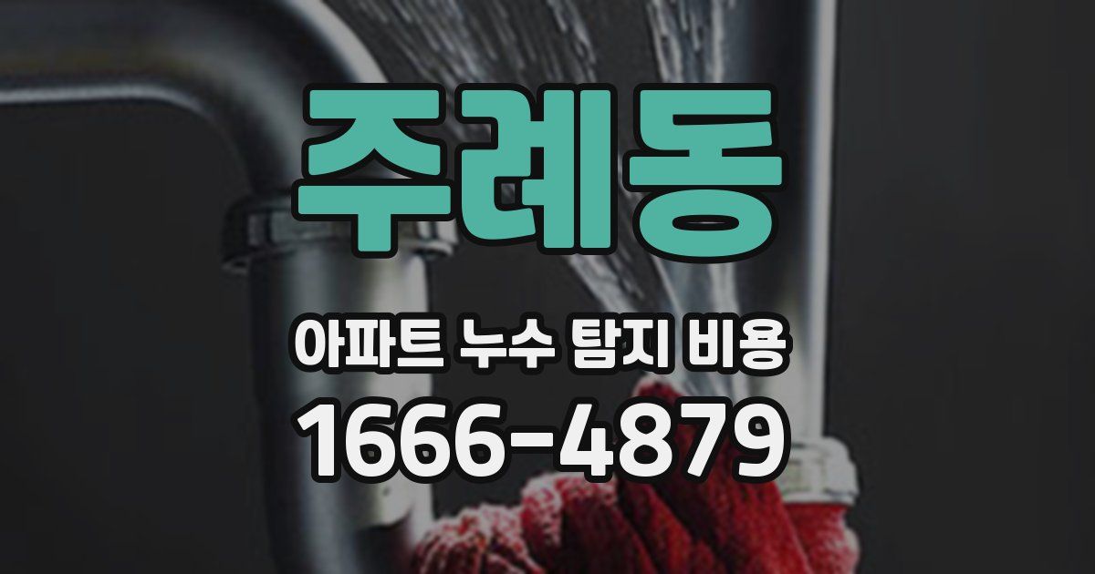 주례동 아파트 누수 탐지 비용