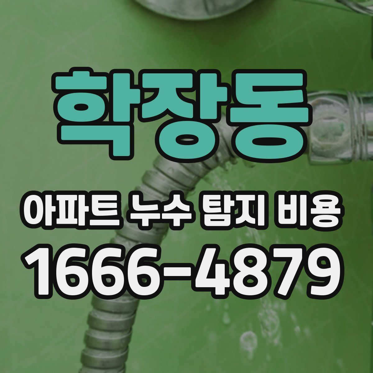 학장동 아파트 누수 탐지 비용