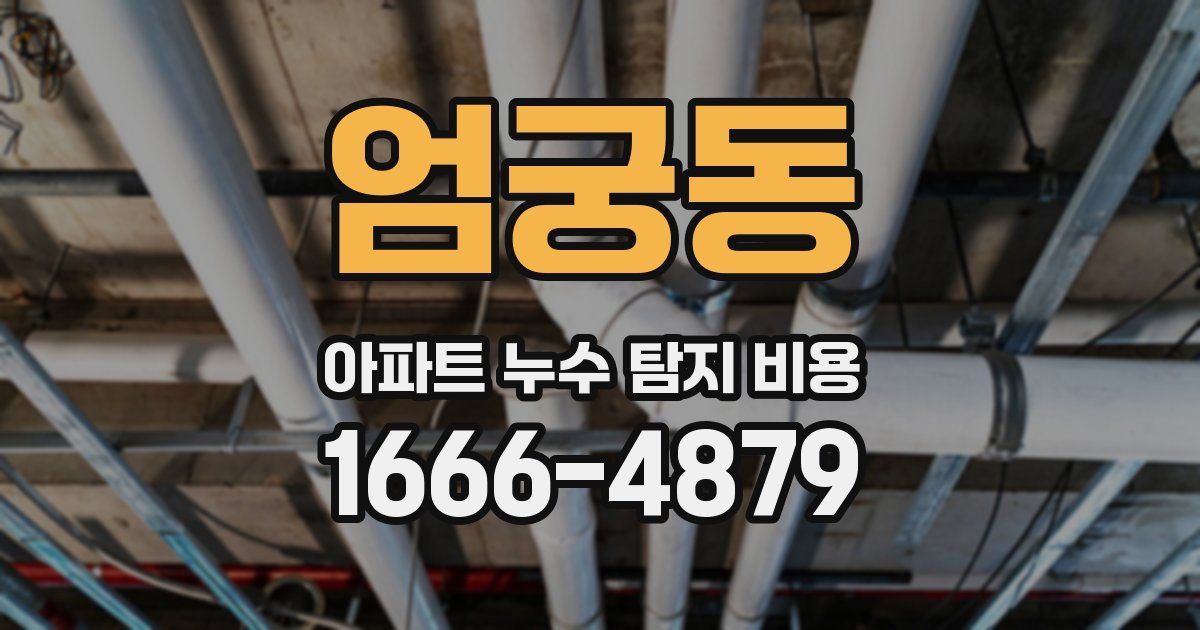 엄궁동 아파트 누수 탐지 비용