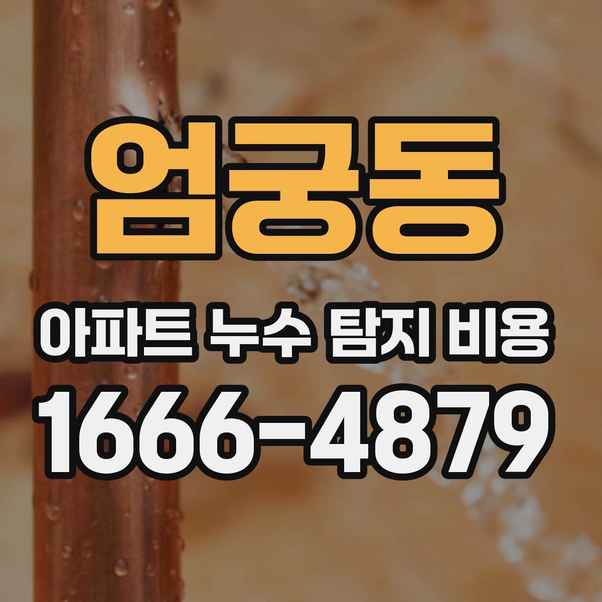 엄궁동 아파트 누수 탐지 비용