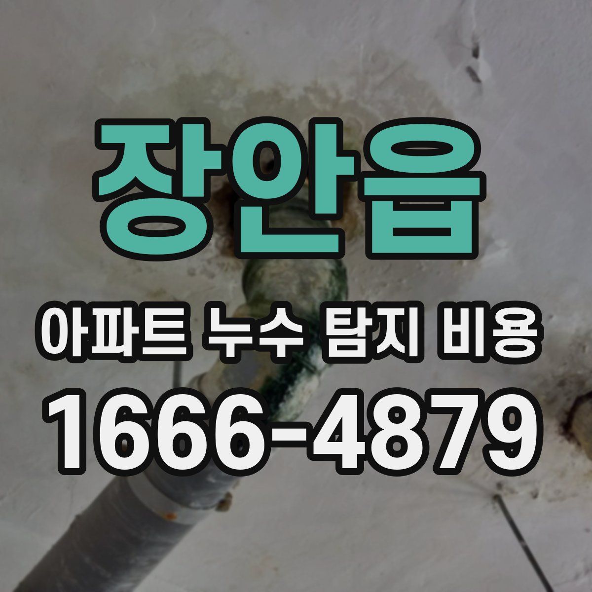 장안읍 아파트 누수 탐지 비용