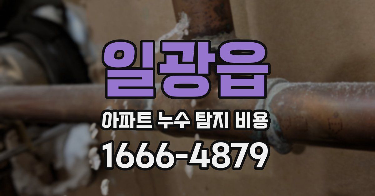 일광읍 아파트 누수 탐지 비용
