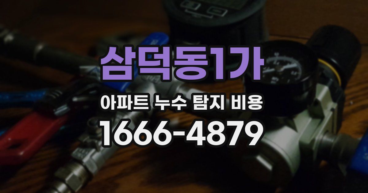 삼덕동1가 아파트 누수 탐지 비용