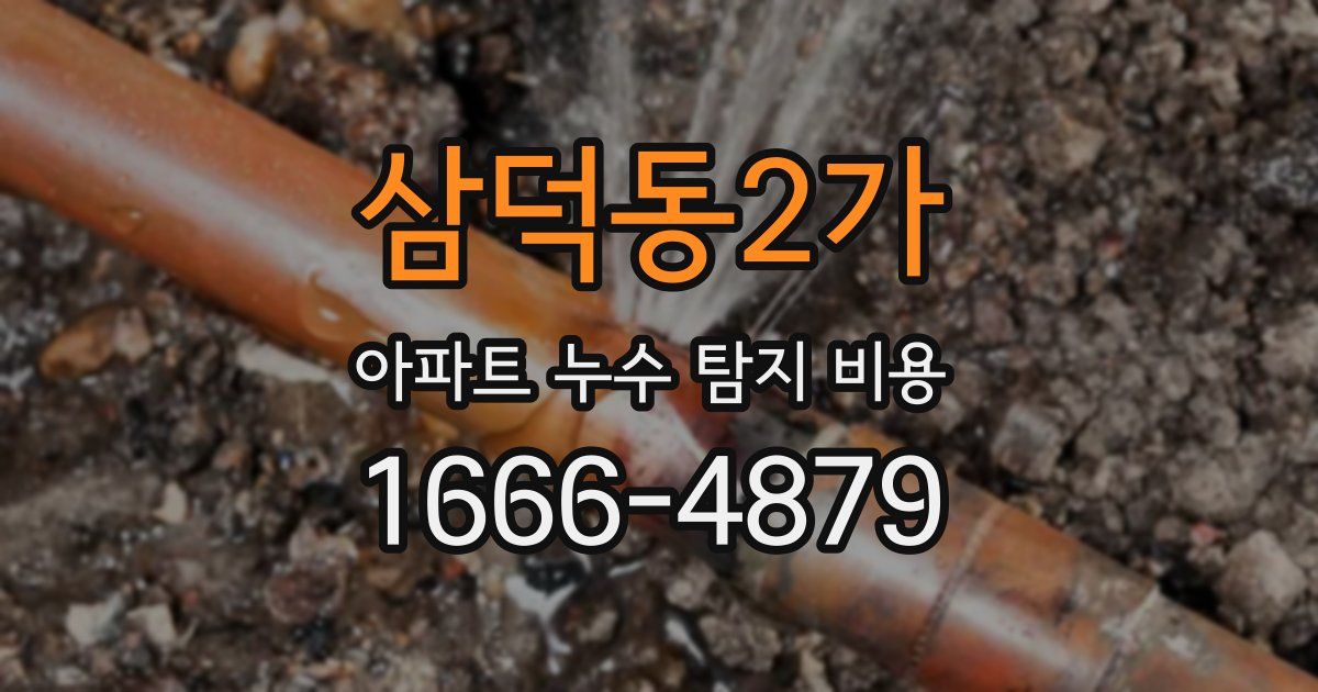 삼덕동2가 아파트 누수 탐지 비용
