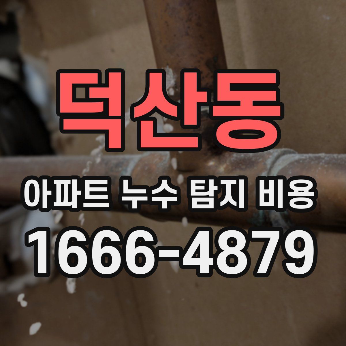 덕산동 아파트 누수 탐지 비용