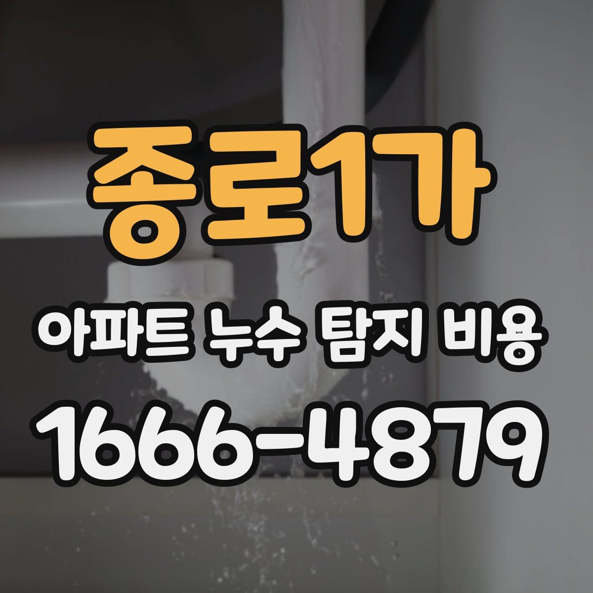 종로1가 아파트 누수 탐지 비용