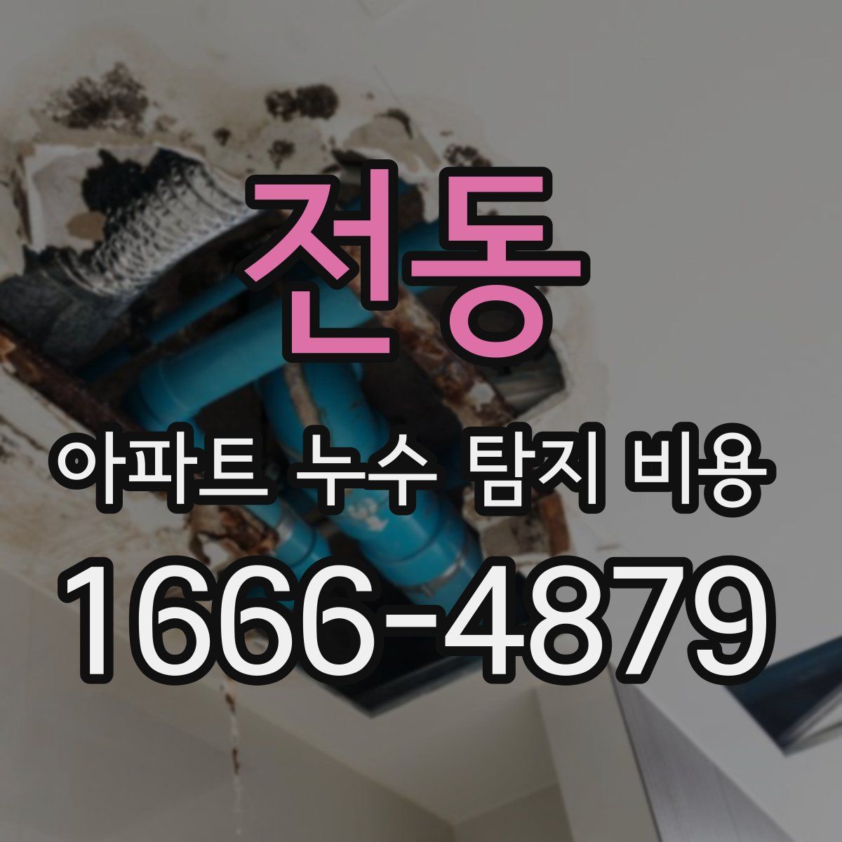 전동 아파트 누수 탐지 비용