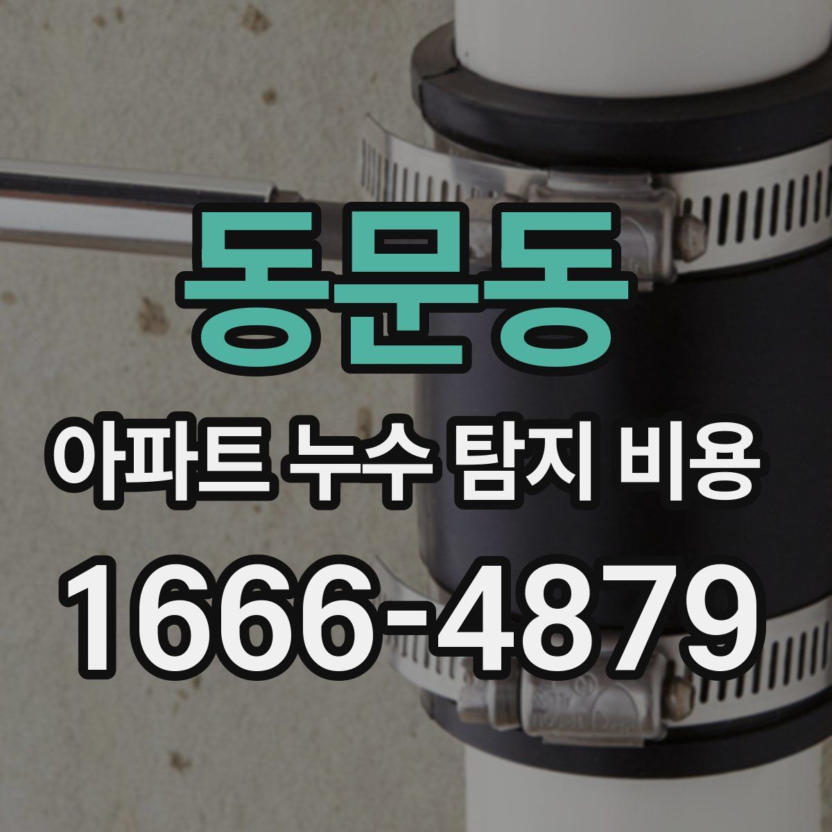 동문동 아파트 누수 탐지 비용