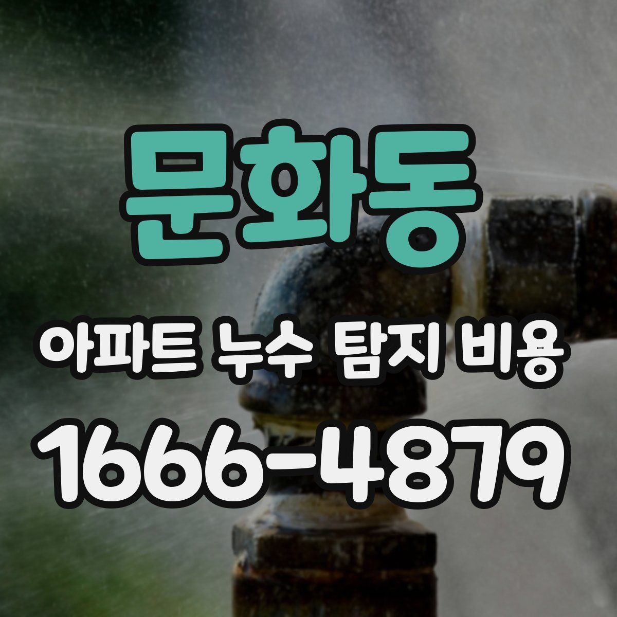 문화동 아파트 누수 탐지 비용