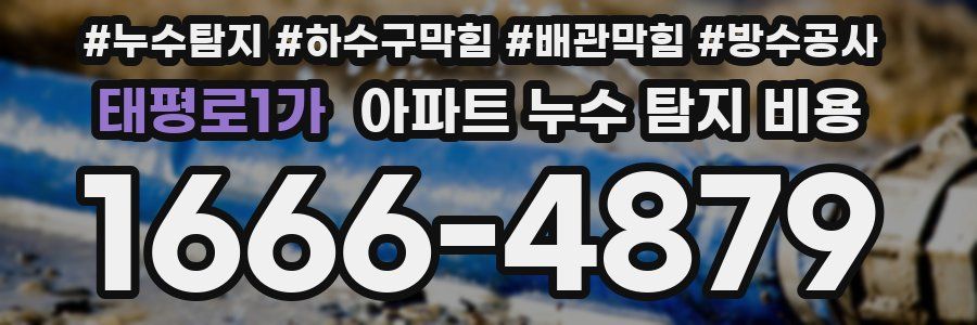 태평로1가 아파트 누수 탐지 비용