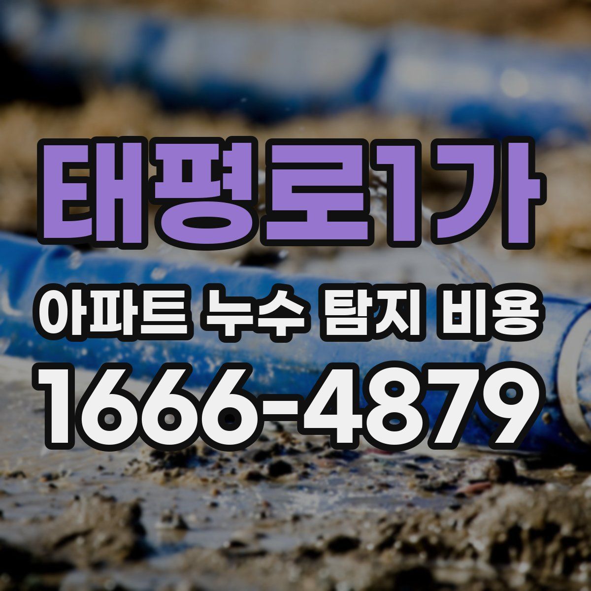 태평로1가 아파트 누수 탐지 비용