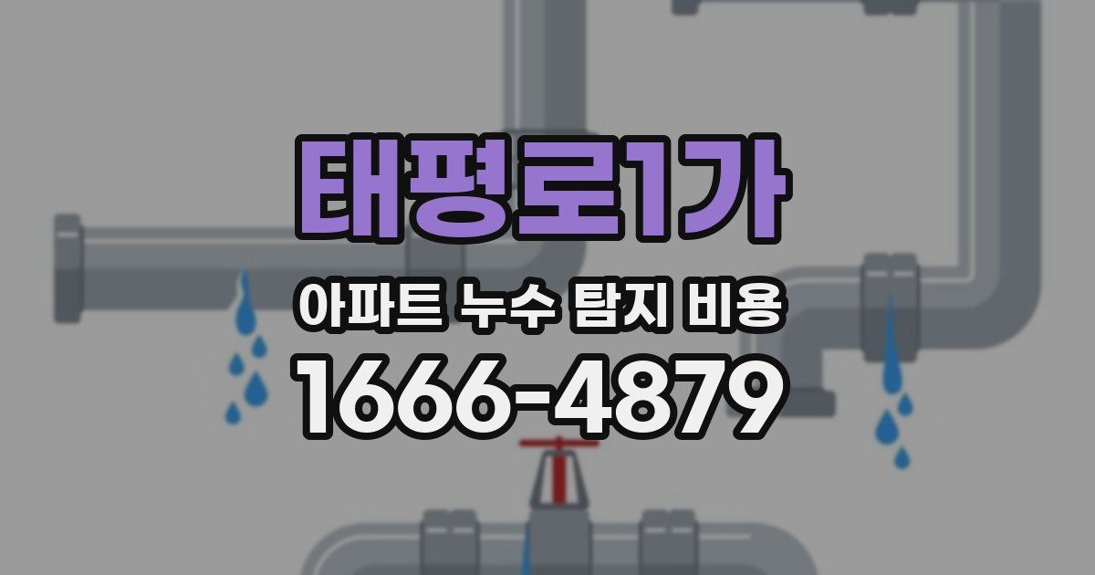 태평로1가 아파트 누수 탐지 비용
