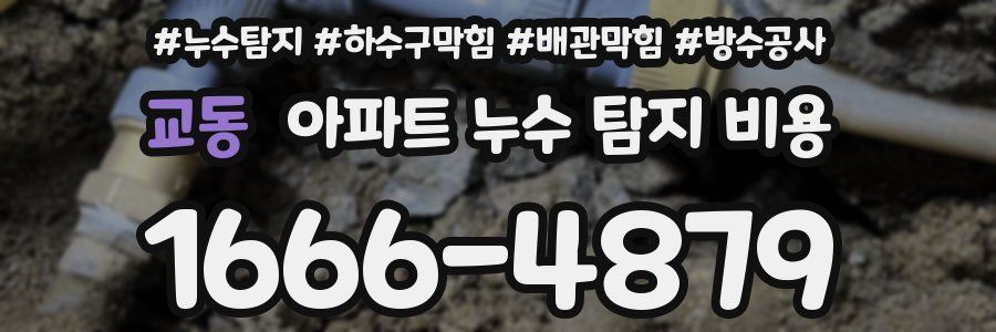 교동 아파트 누수 탐지 비용