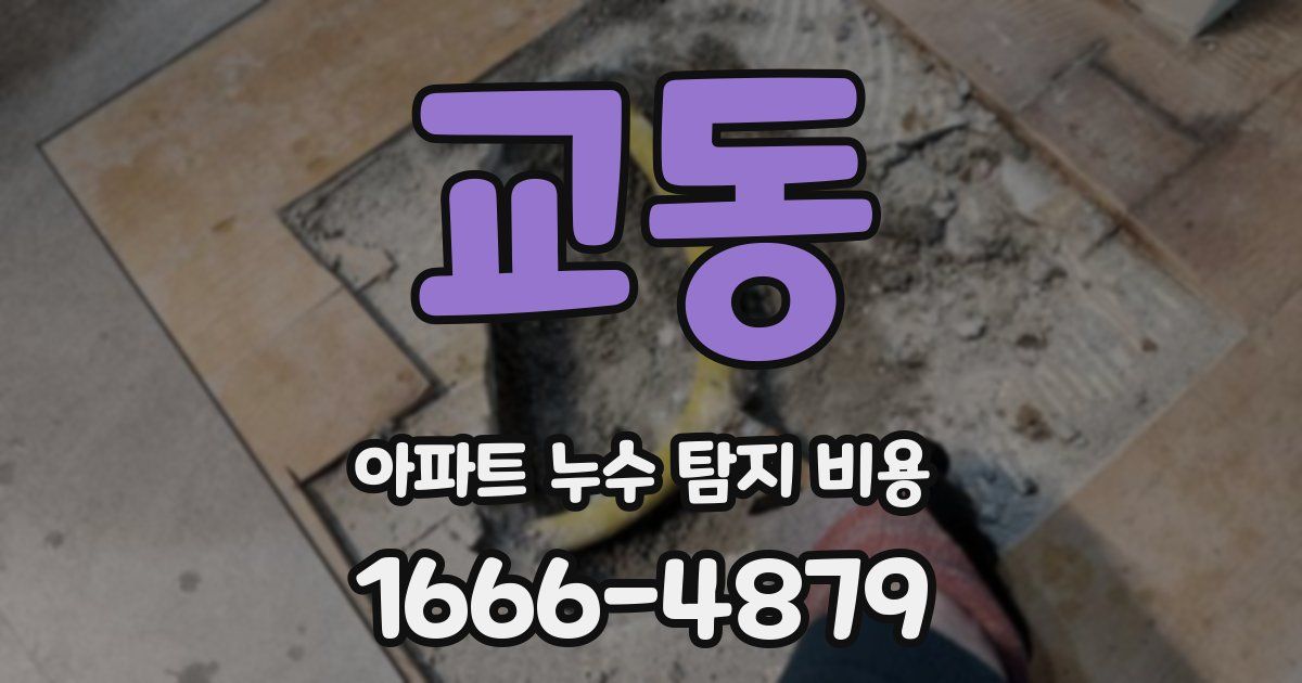 교동 아파트 누수 탐지 비용