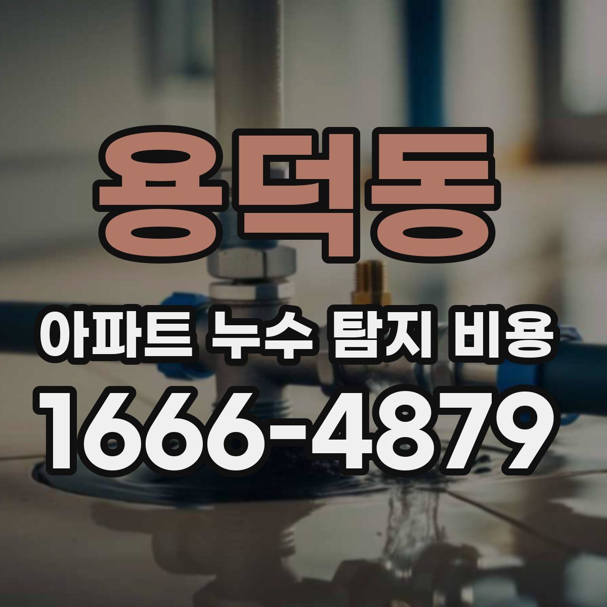 용덕동 아파트 누수 탐지 비용