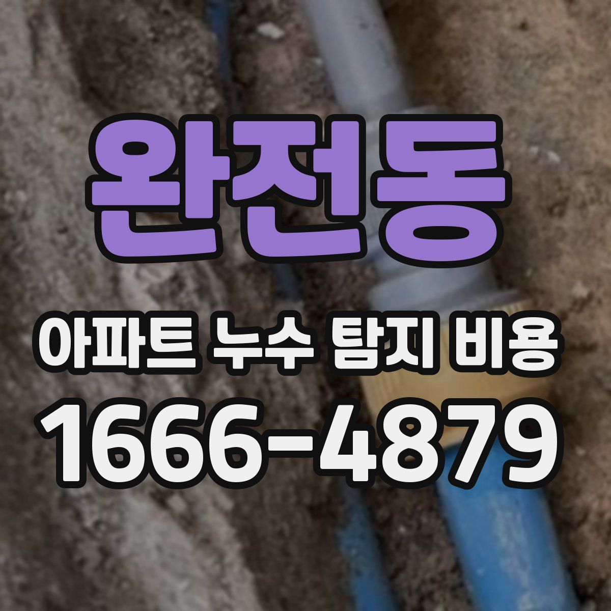 완전동 아파트 누수 탐지 비용
