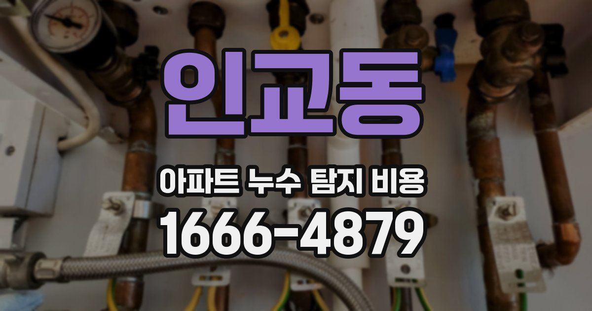 인교동 아파트 누수 탐지 비용
