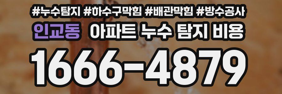 인교동 아파트 누수 탐지 비용