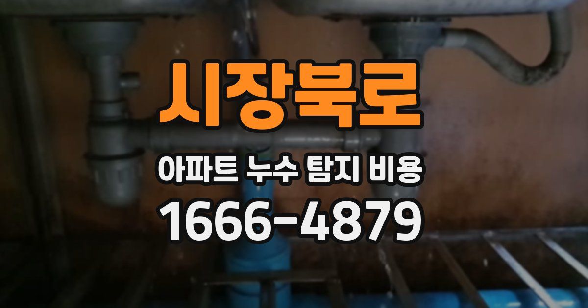 시장북로 아파트 누수 탐지 비용