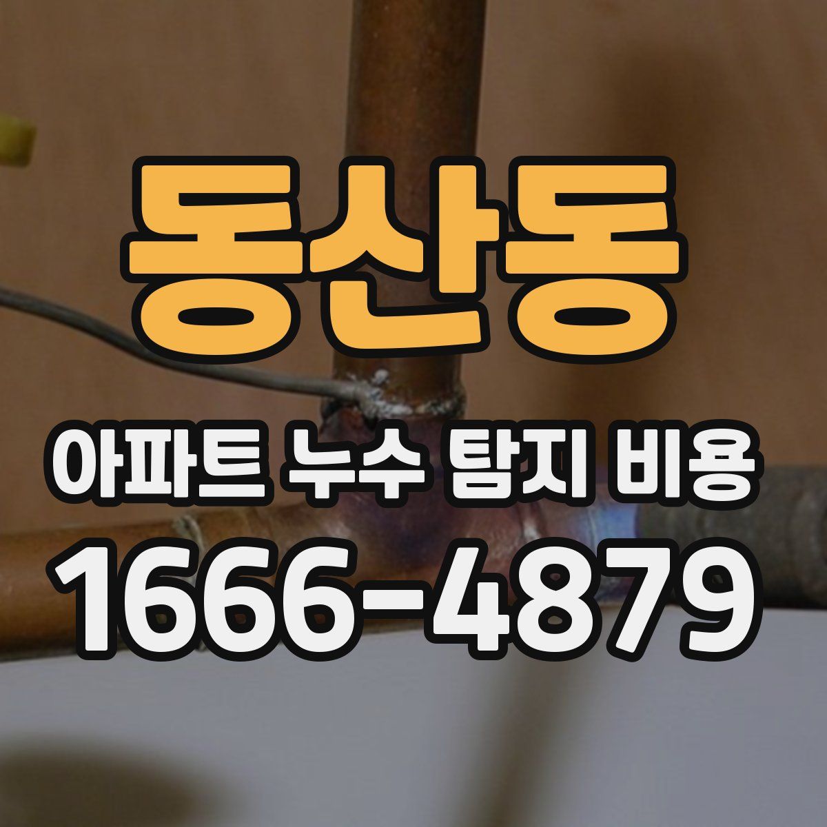 동산동 아파트 누수 탐지 비용