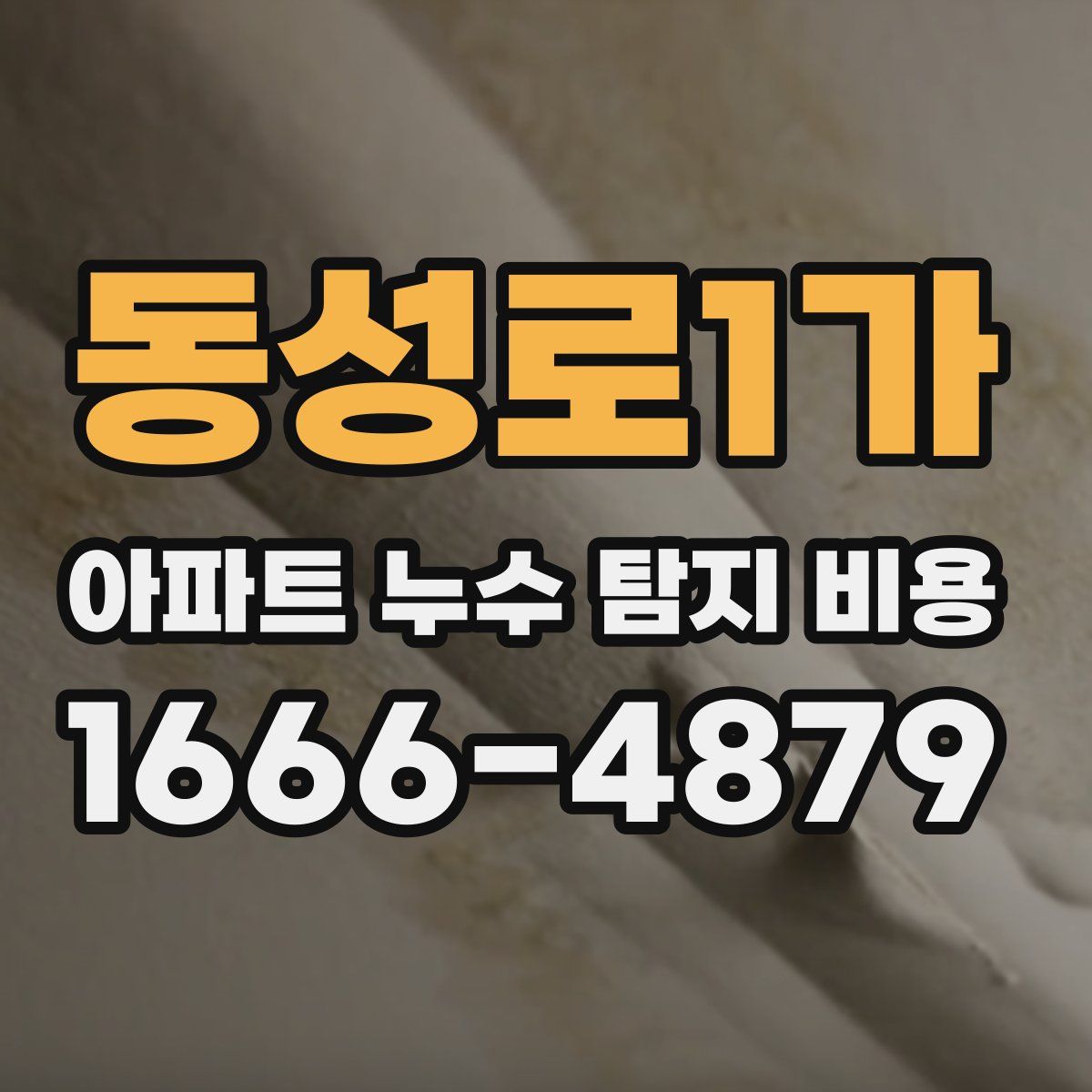 동성로1가 아파트 누수 탐지 비용