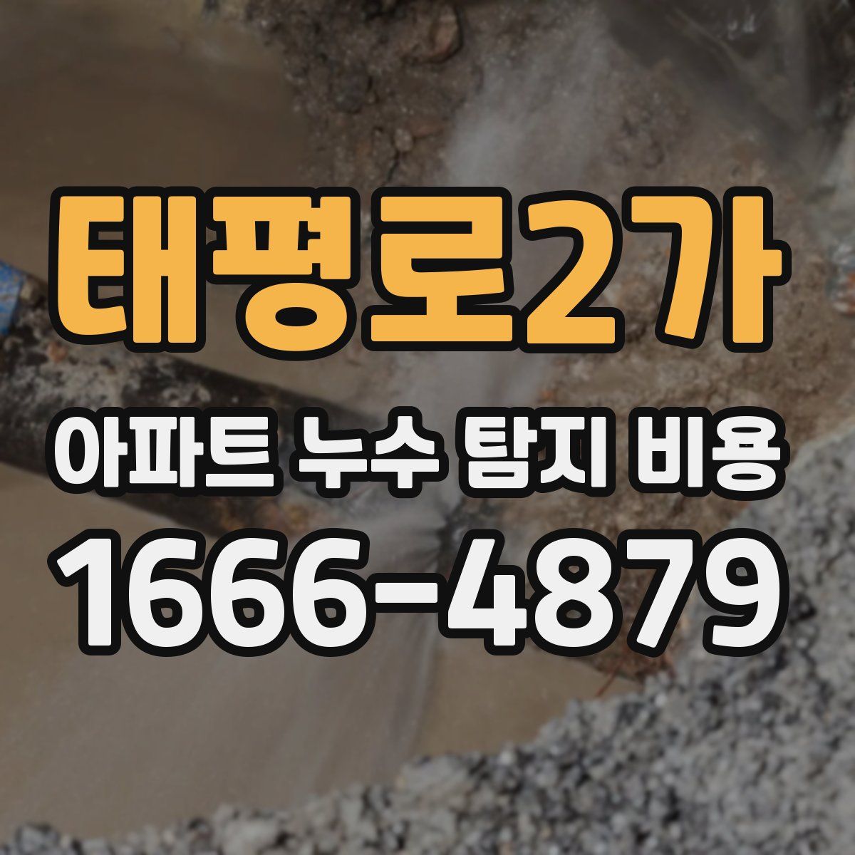 태평로2가 아파트 누수 탐지 비용