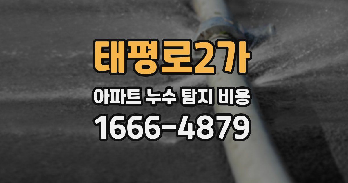 태평로2가 아파트 누수 탐지 비용