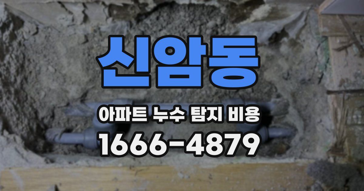 신암동 아파트 누수 탐지 비용